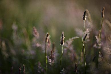 索尼PlayStation将收购更多公司 以增强竞争力